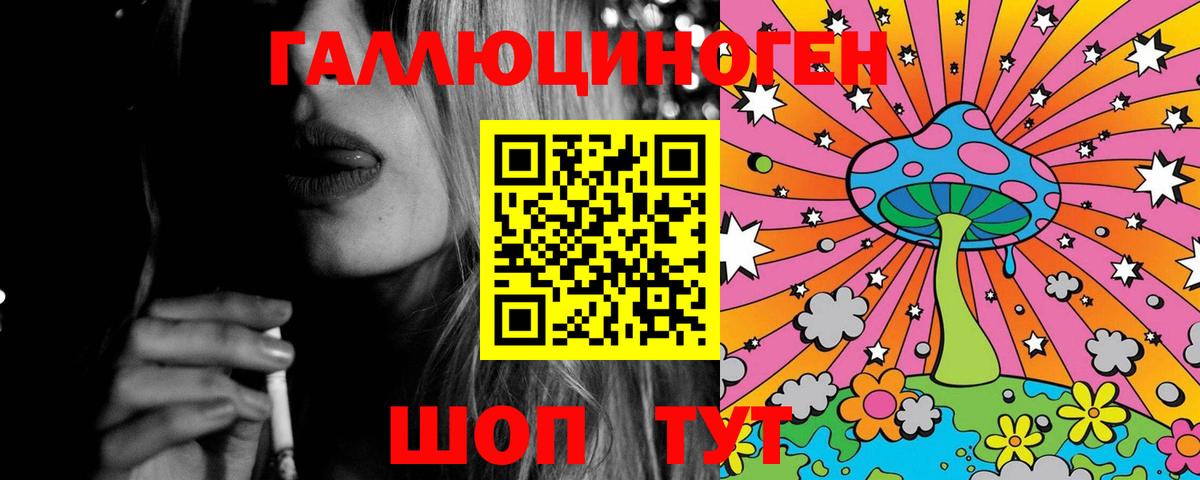 Гатчина  Галлюциногенные грибы Cubensis  Вход с VPN  Псилоцибиновые грибы Magic Shrooms 